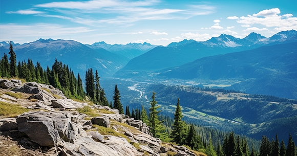 North American Office